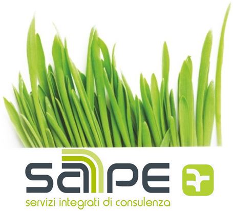 Servizi integrati di consulenza SAPE